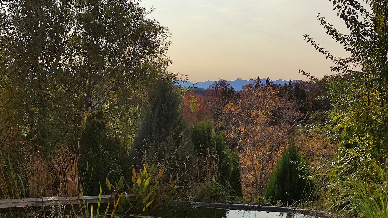 Photo of Outdoor in Ronsberg