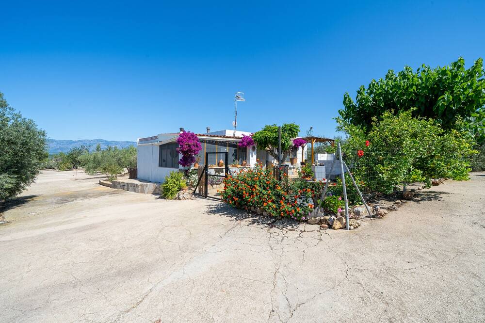 Photo of Outdoor in Amposta