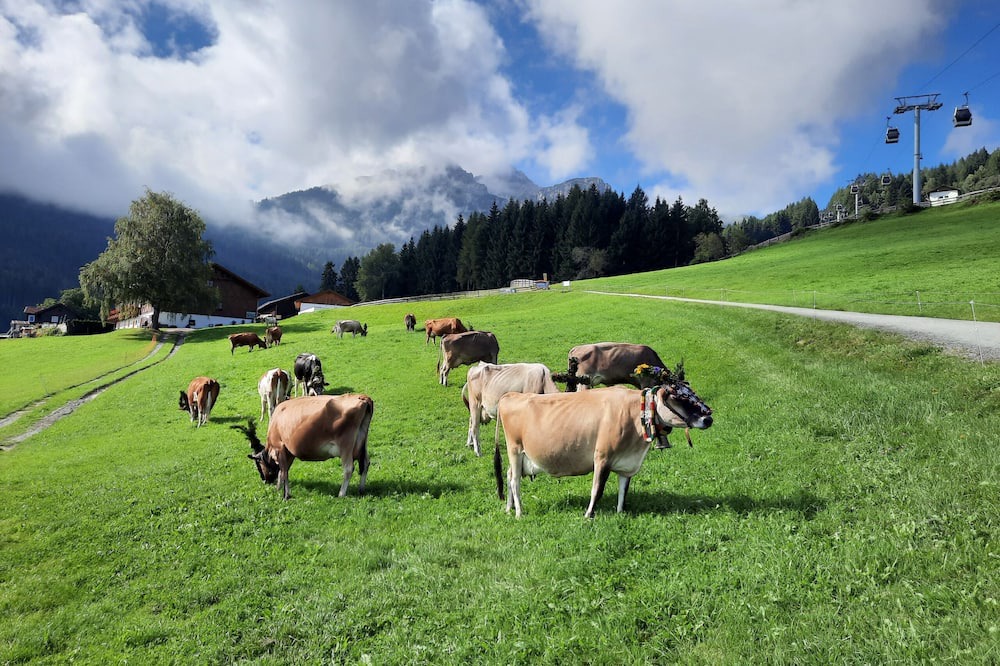 Photo of Outdoor in Mutters