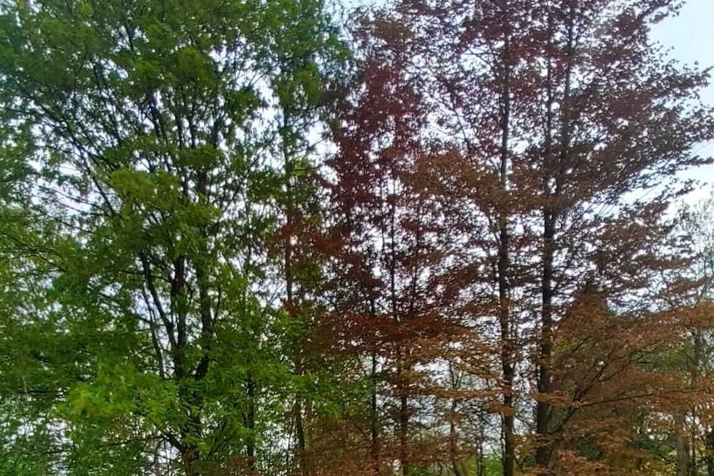 Photo of Outdoor in Nordhalben