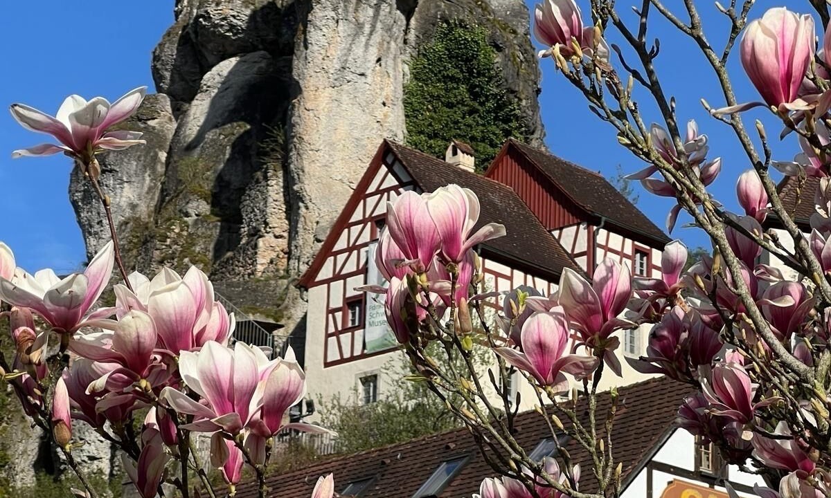 Photo of Others in Pottenstein