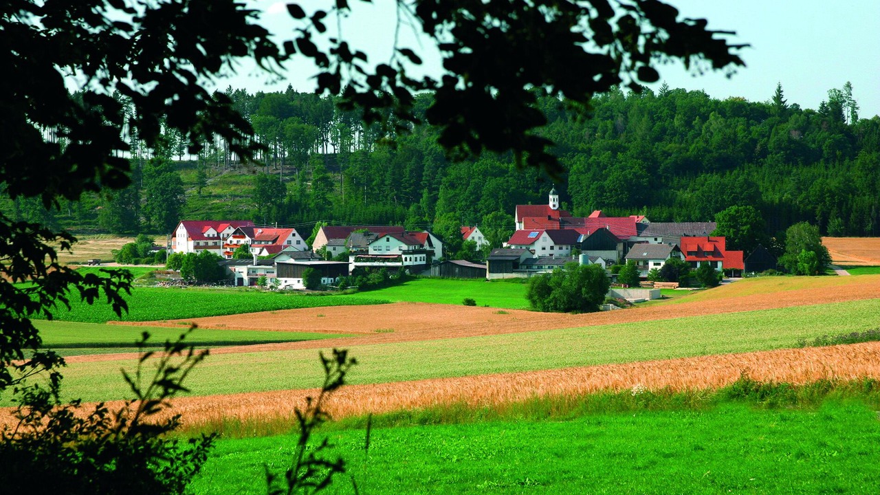Photo of Others in Fremdingen
