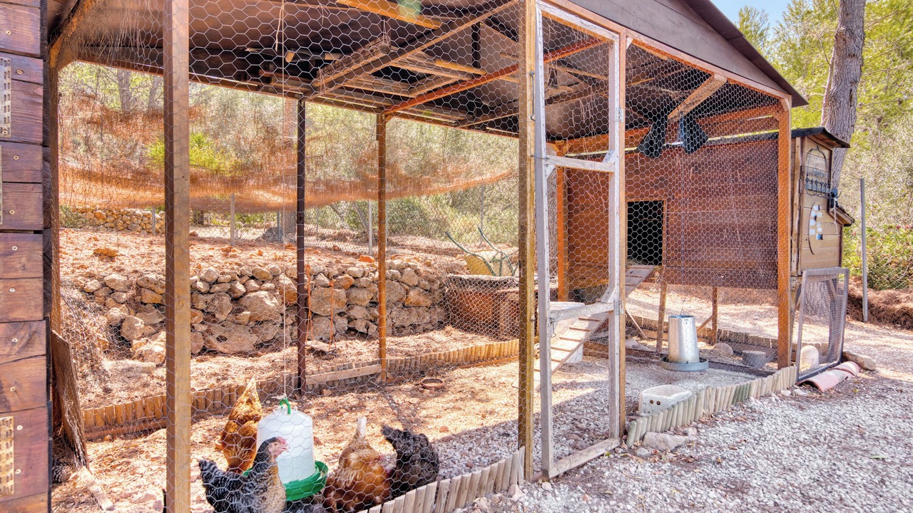 Photo of Outdoor in Lliber