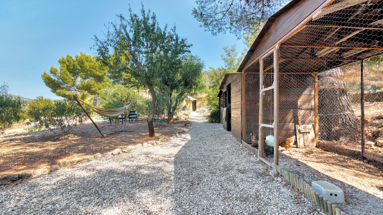 Photo of Outdoor in Lliber