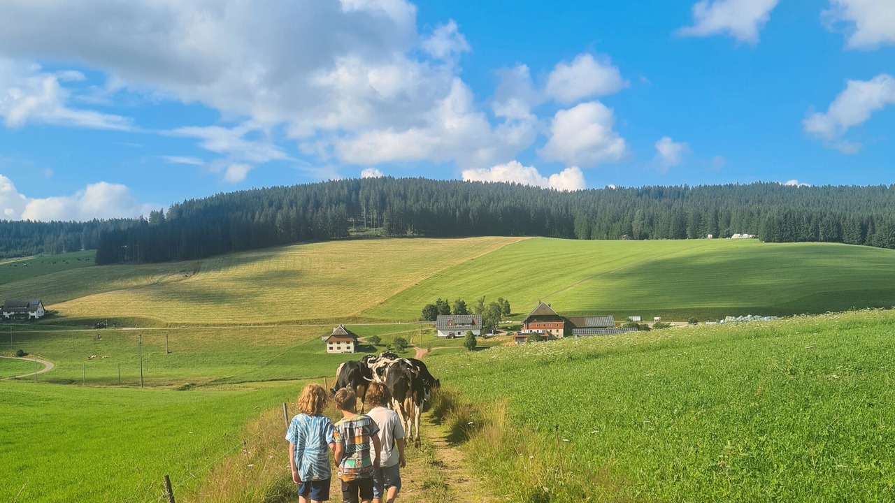 Photo of Others in Schollach