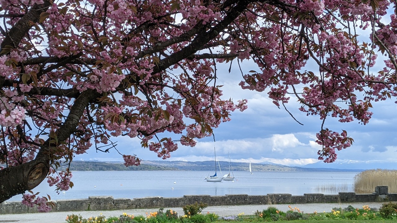 Photo of Outdoor in Schondorf am Ammersee