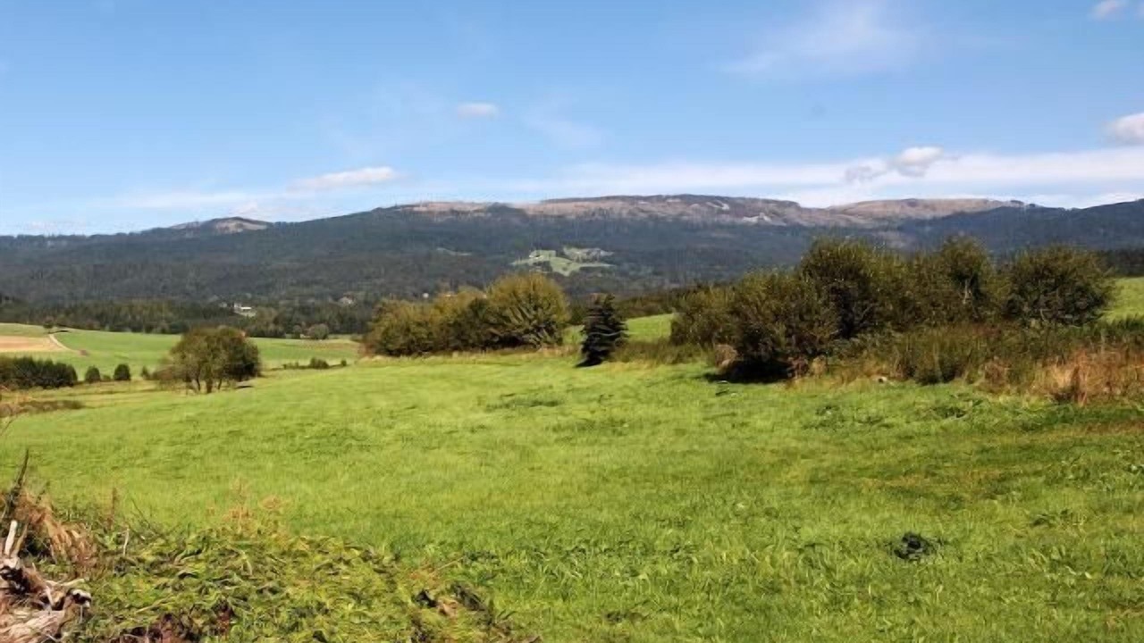Photo of Outdoor in Neureichenau