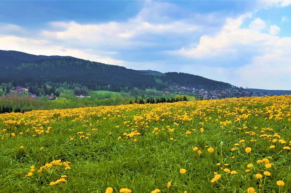 Photo of Others in Hohenwarth