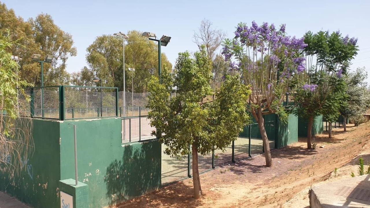 Photo of Others in La Algaba