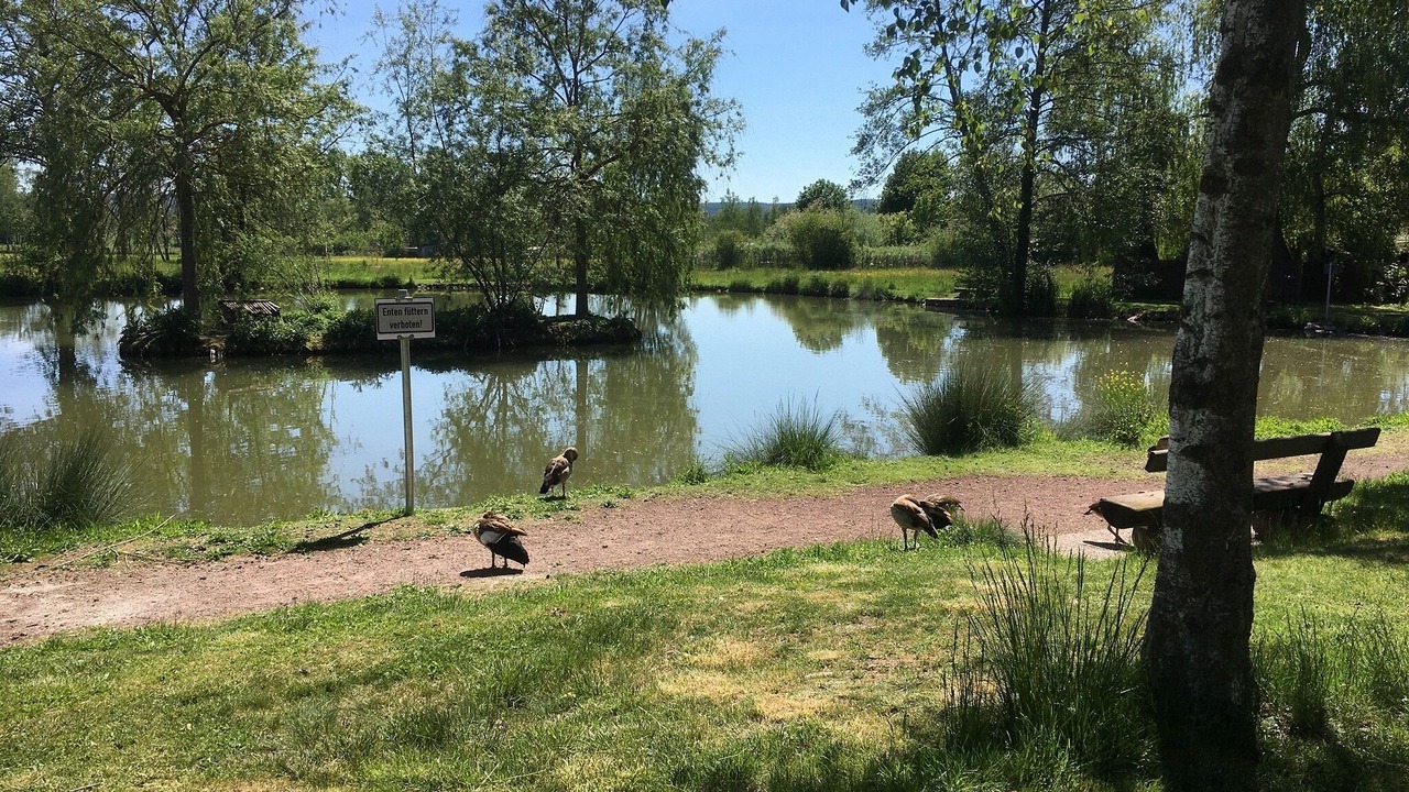 Photo of Outdoor in Bad Konigshofen