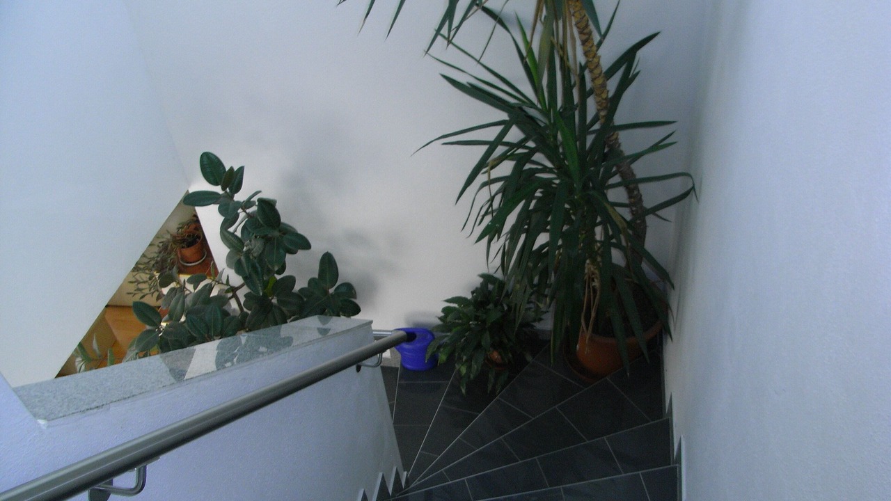Photo of Others in Distelberg