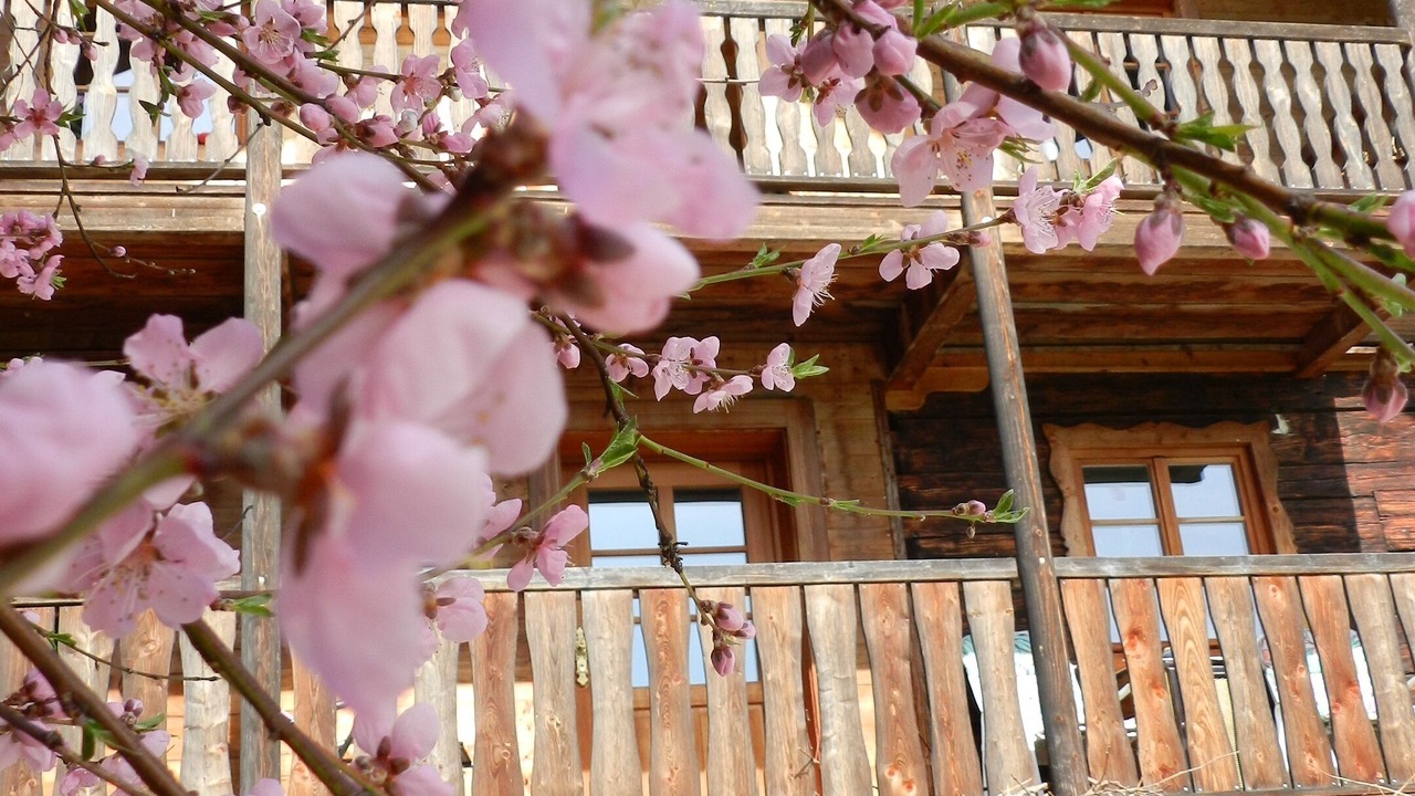 Photo of Outdoor in Egglham