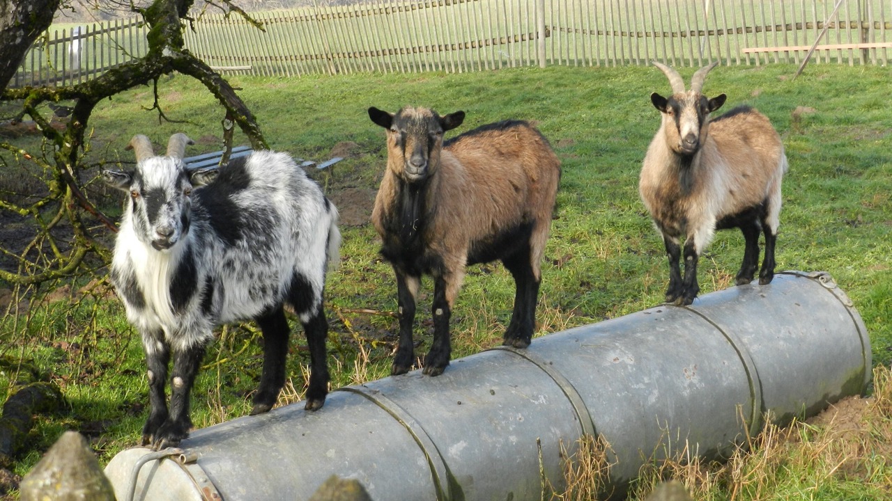 Photo of Outdoor in Egglham