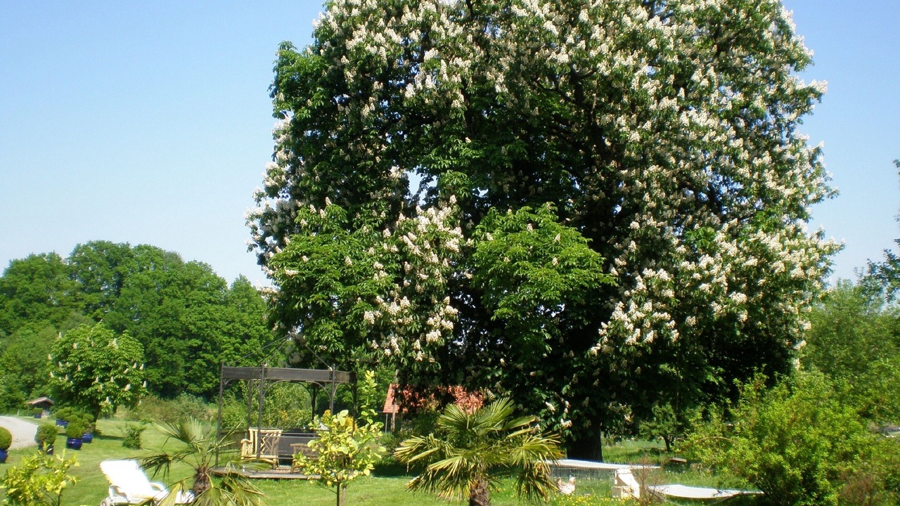 Photo of Outdoor in Egglham