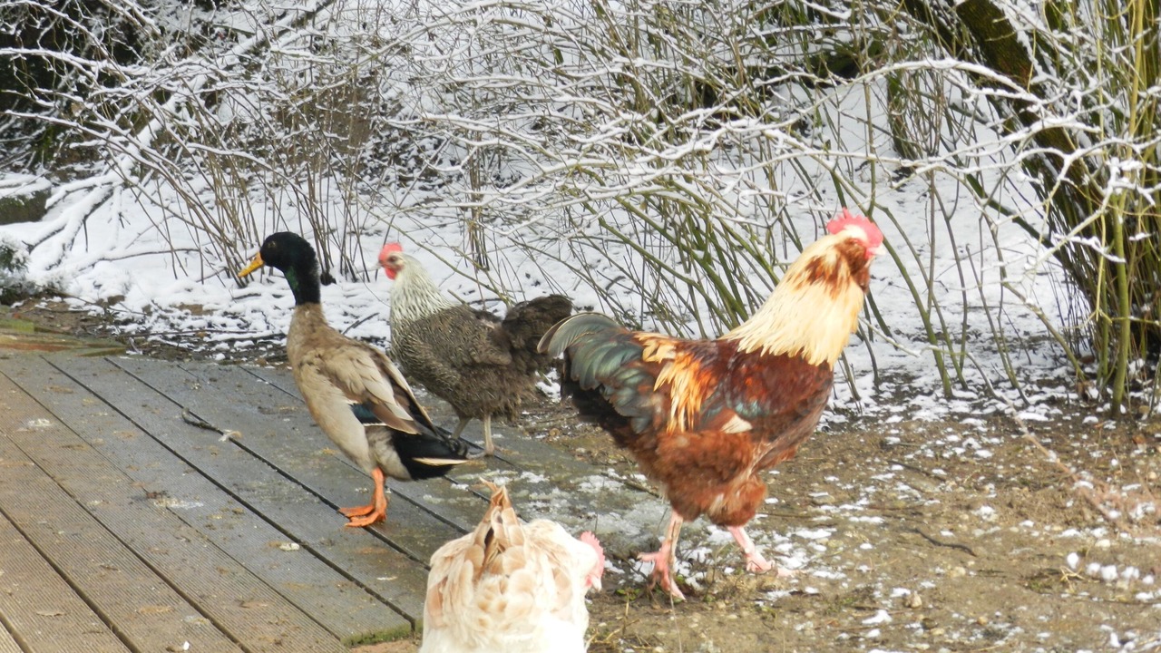 Photo of Outdoor in Egglham