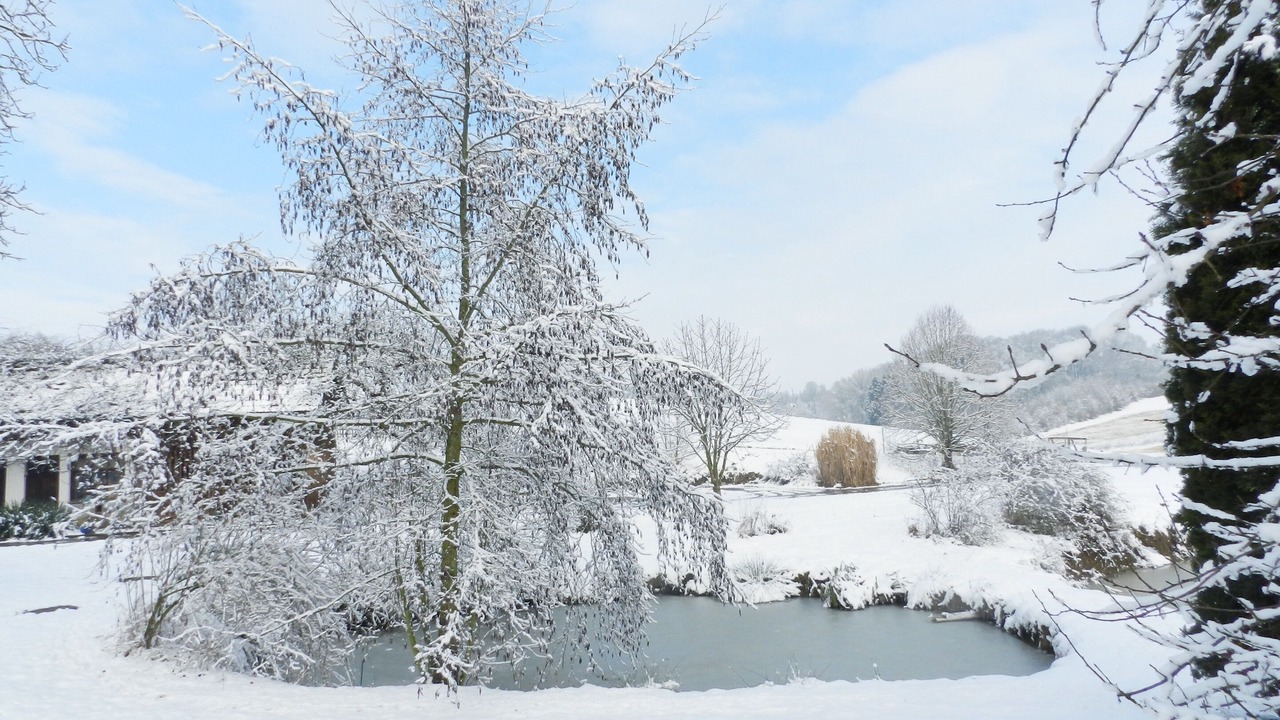 Photo of Outdoor in Egglham