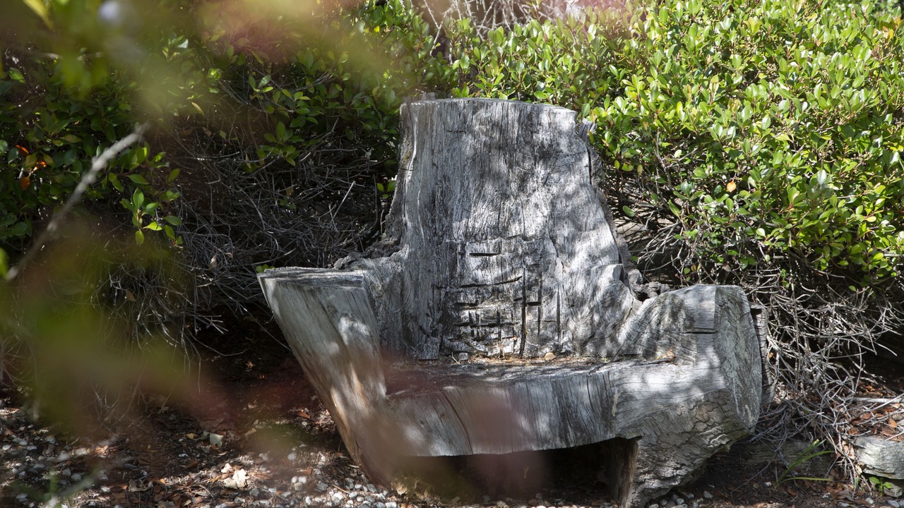 Photo of Outdoor in Lake Hayes
