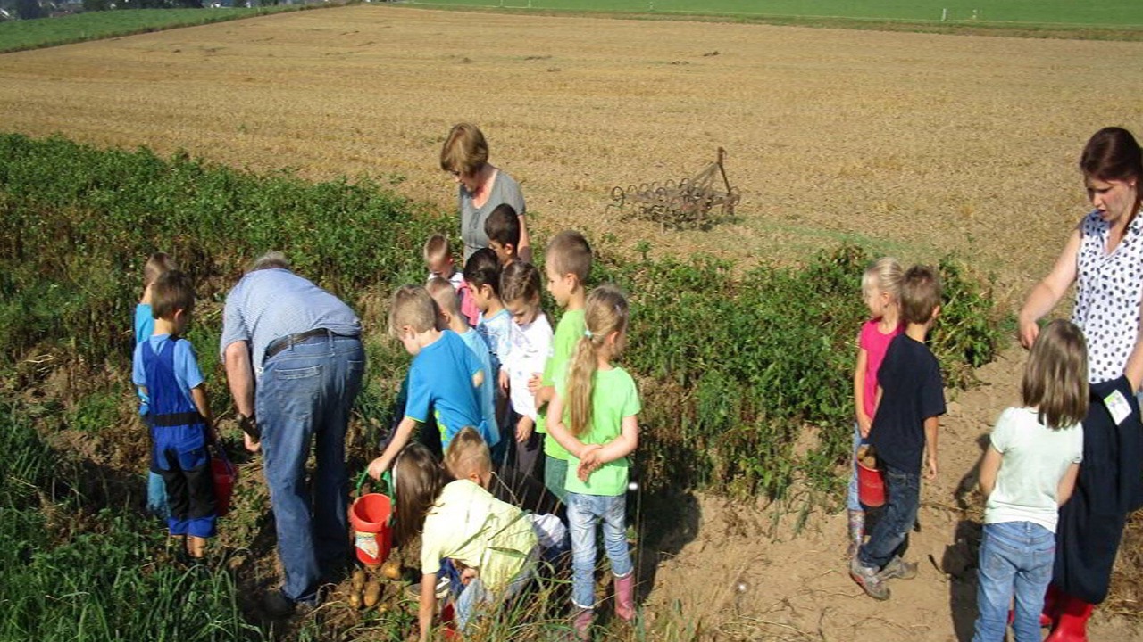 Photo of Others in Finnentrop