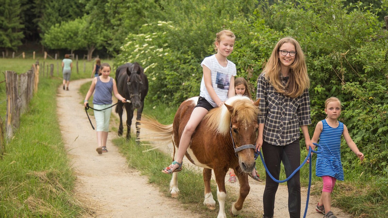 Photo of Others in Wildewiese