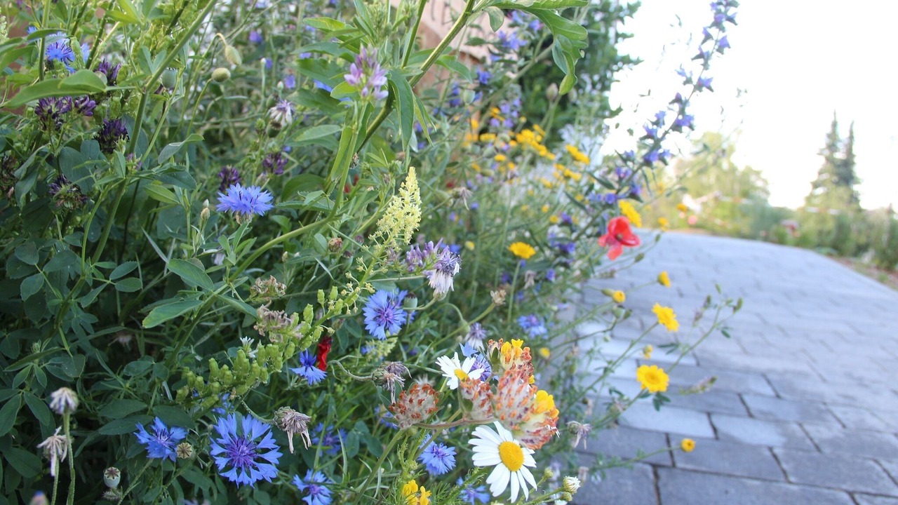 Photo of Outdoor in Dillingen an der Donau