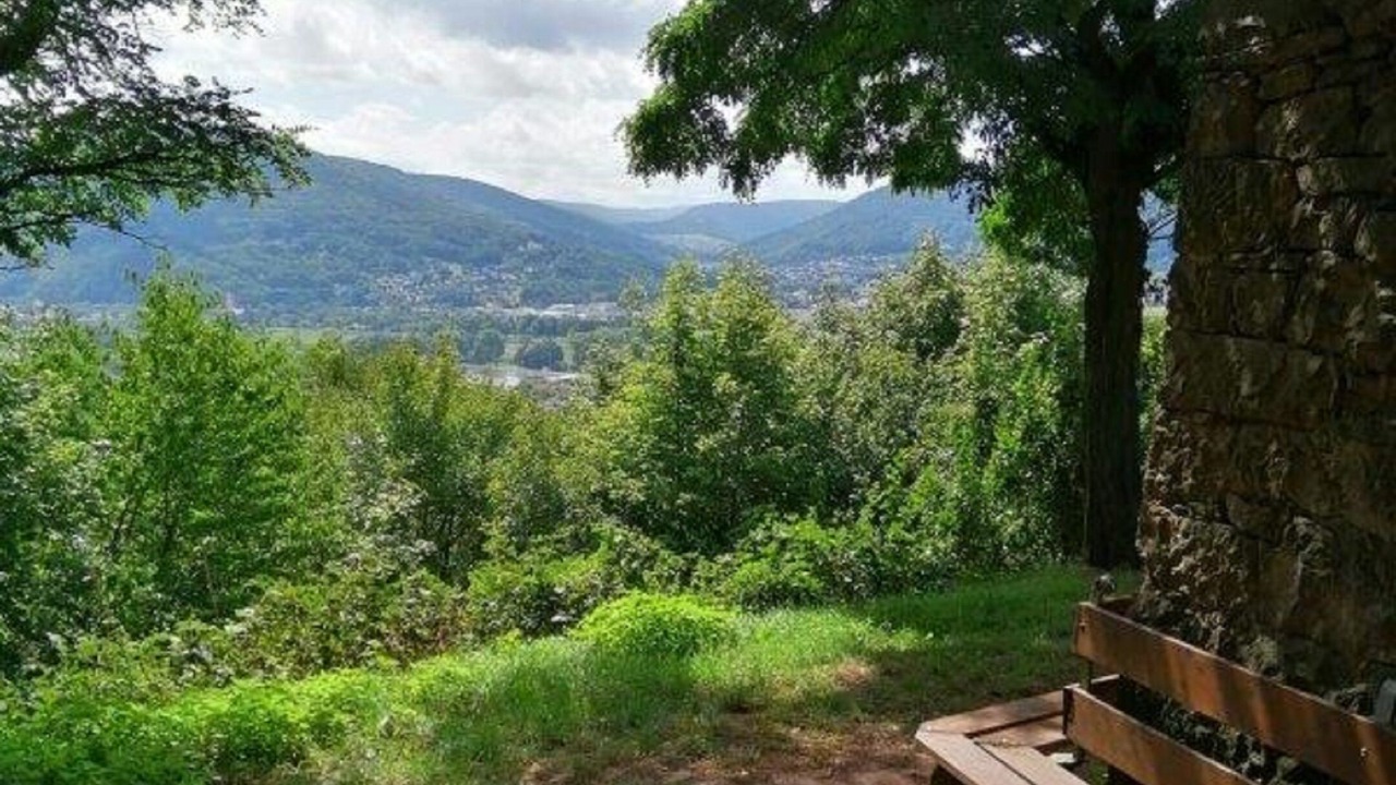 Photo of Outdoor in Grossheubach