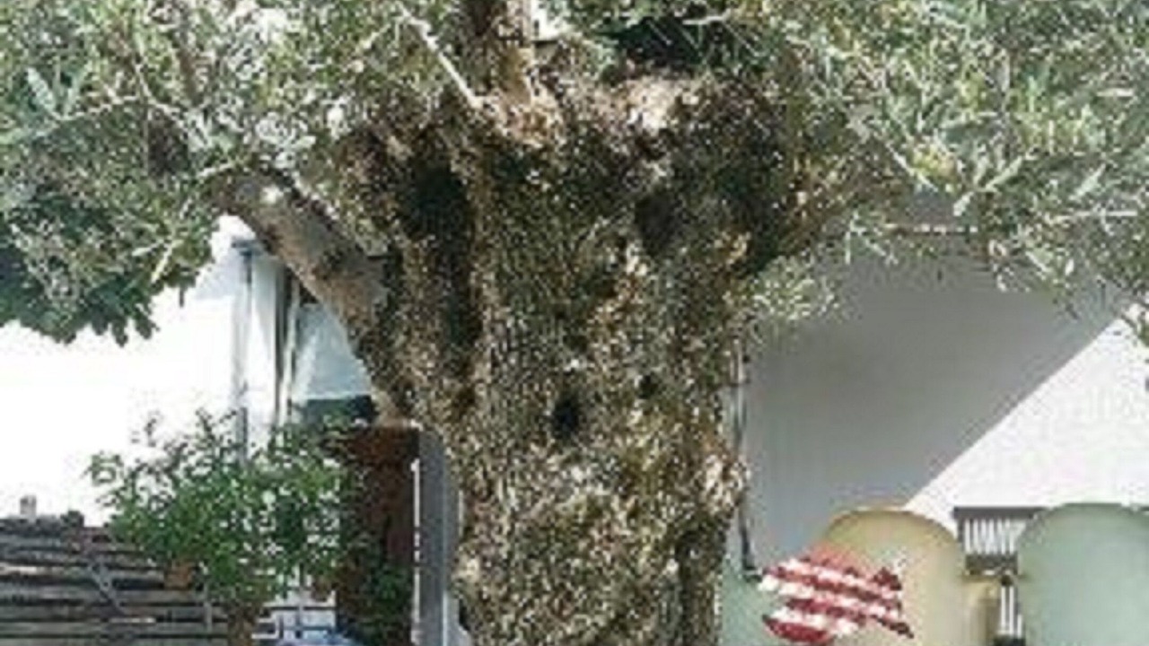 Photo of Outdoor in Grossheubach