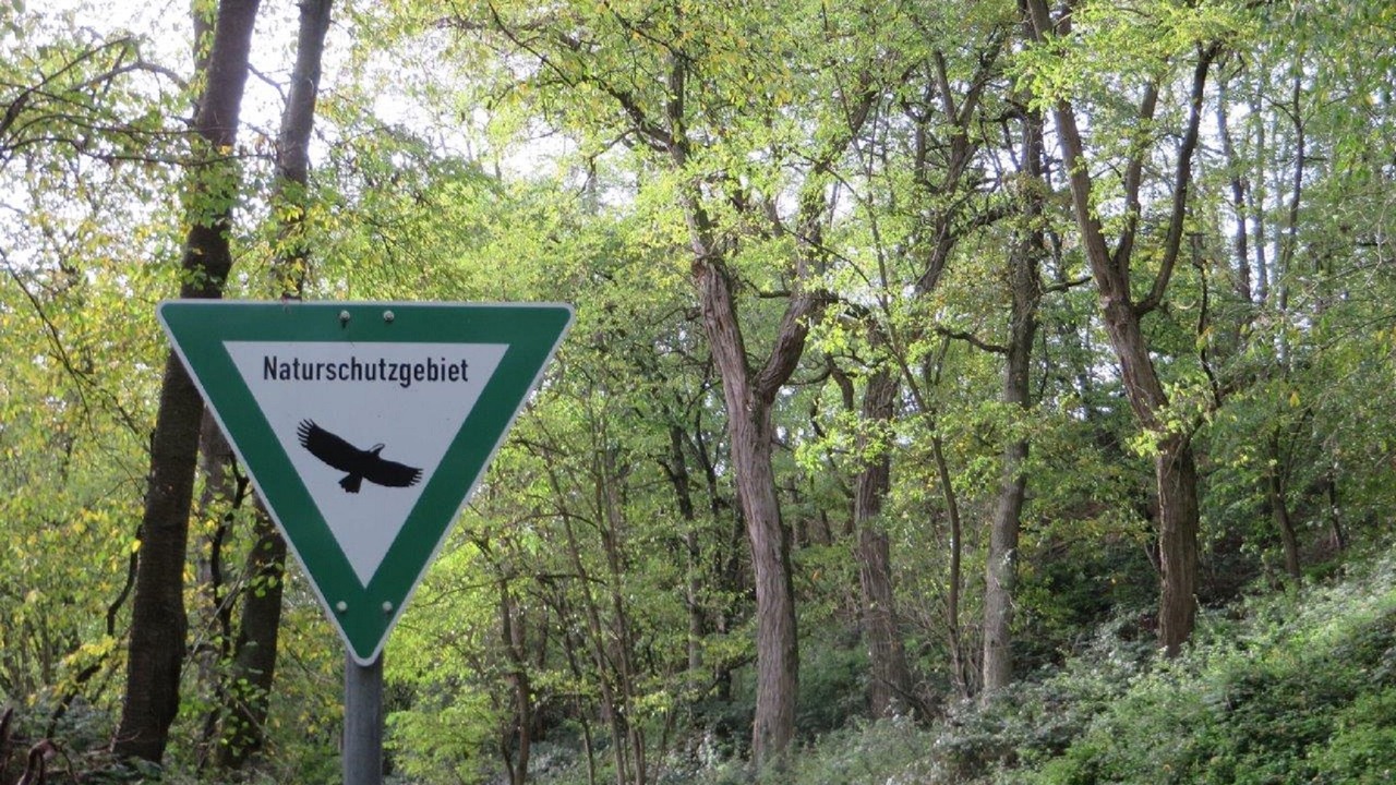 Photo of Outdoor in Grossheubach