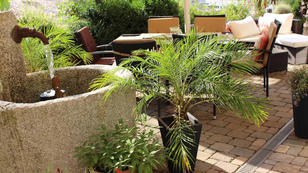 Photo of Patio Balcony in Regen