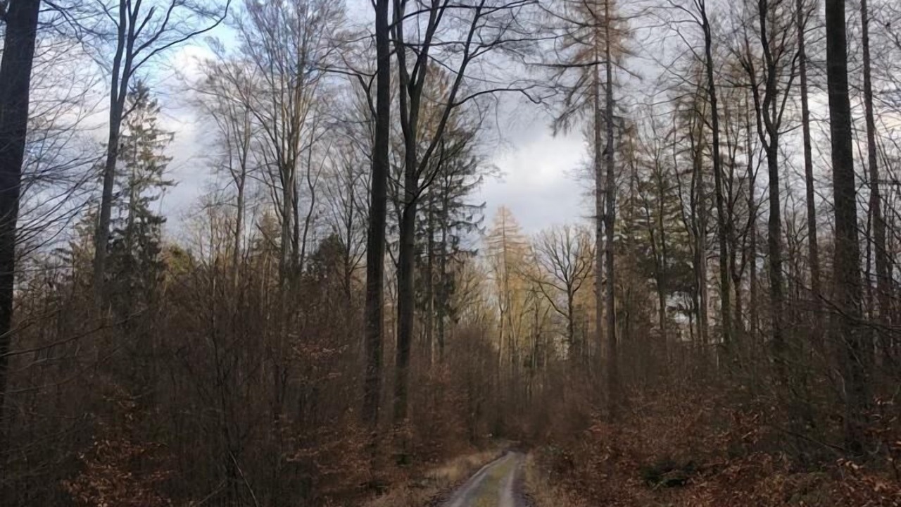 Photo of Others in Rohrbrunn