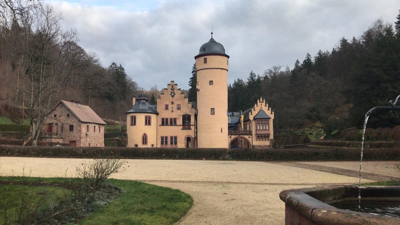 Photo of Others in Rohrbrunn