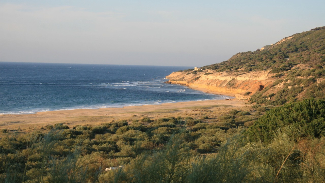 Photo of Others in Brena y Marismas de Barbate Natural Park
