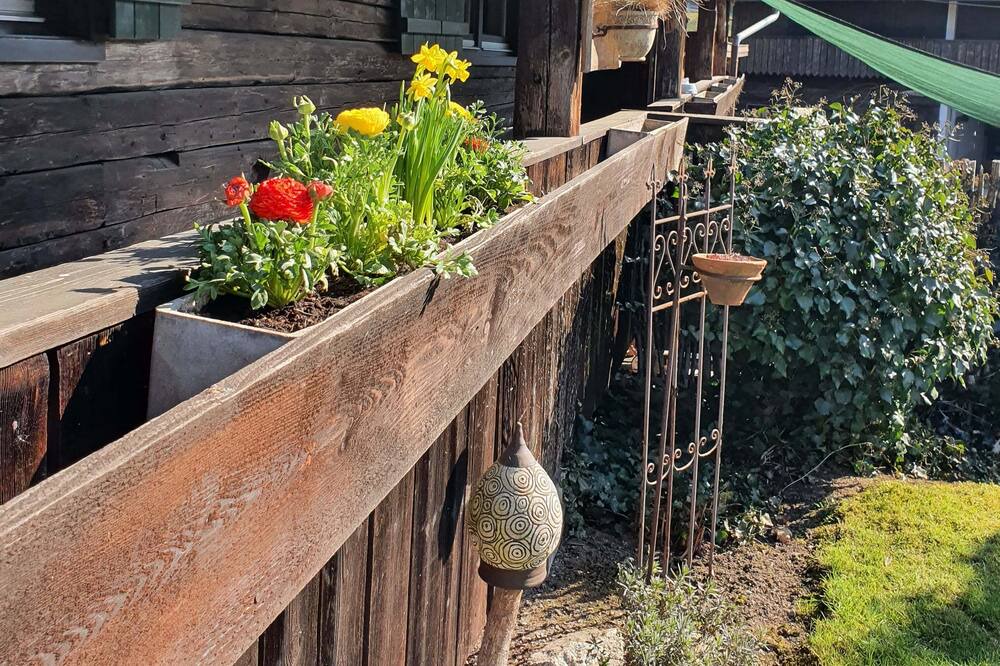 Photo of Patio Balcony in Furstenstein