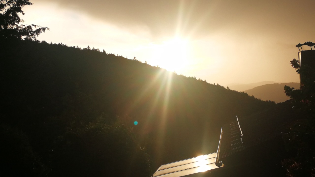 Photo of Outdoor in Schofweg