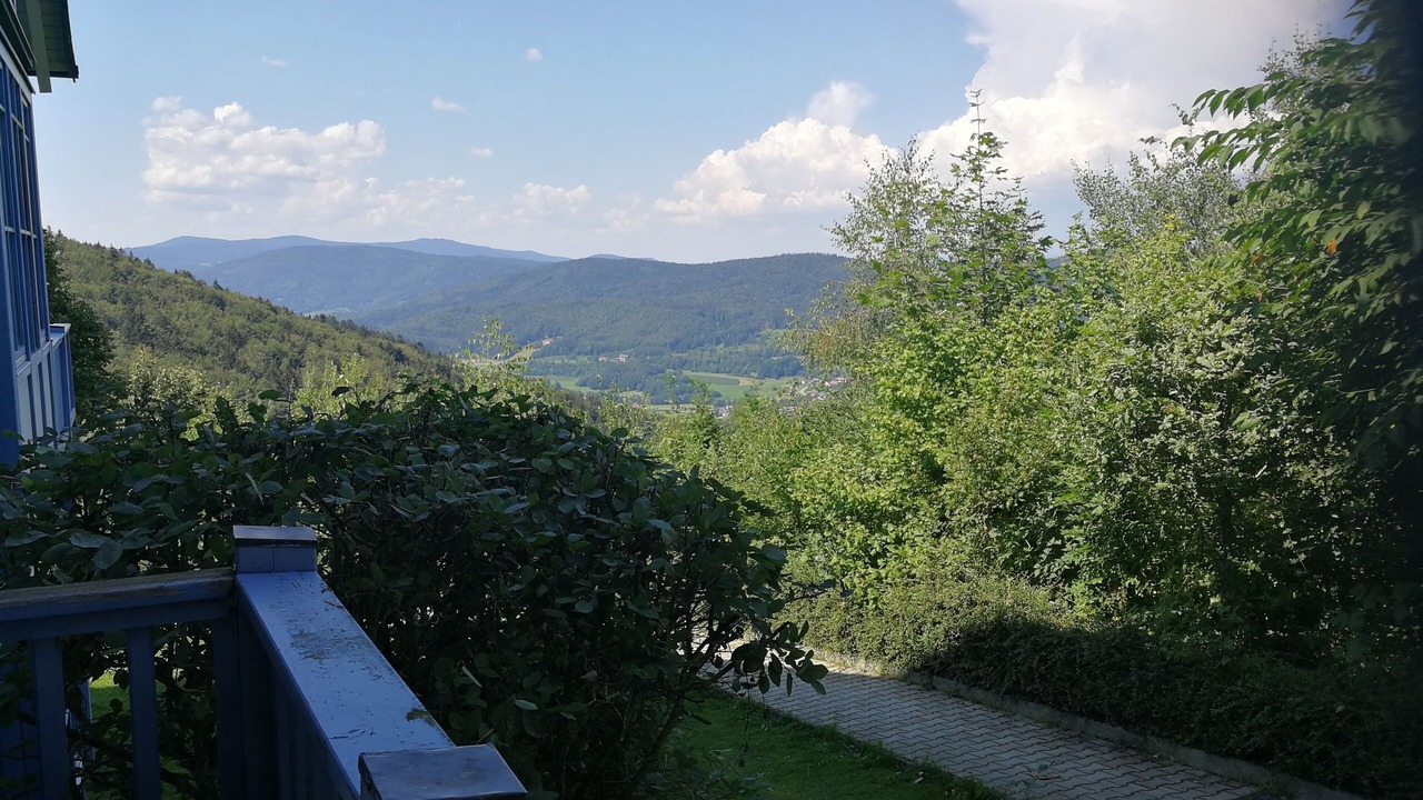 Photo of Outdoor in Schofweg
