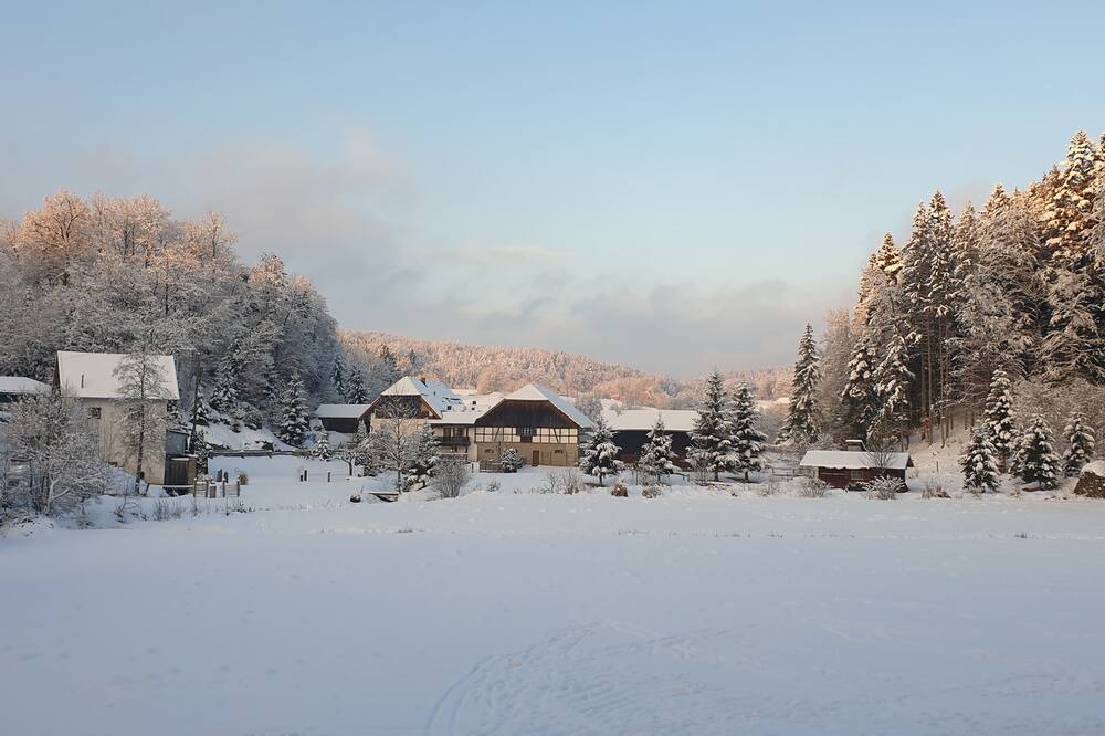 Photo of Outdoor in Furstenstein