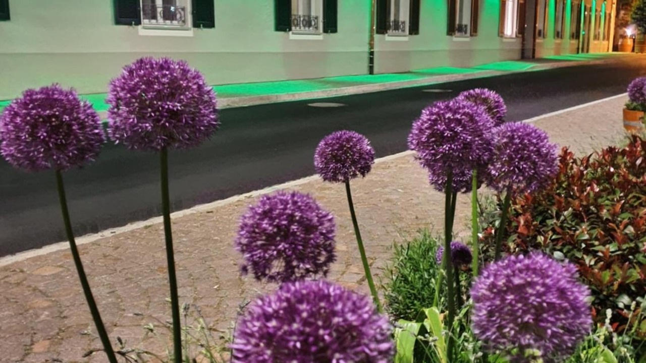 Photo of Outdoor in Haslach im Kinzigtal