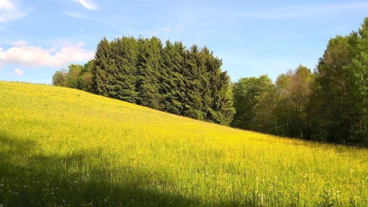 Photo of Outdoor in Purgl