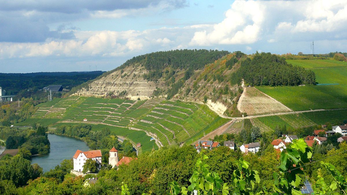 Photo of Others in Marktheidenfeld