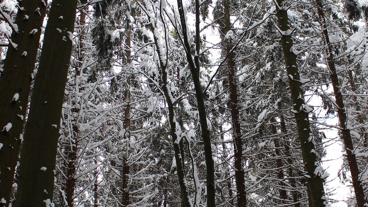 Photo of Outdoor in Waffenbrunn