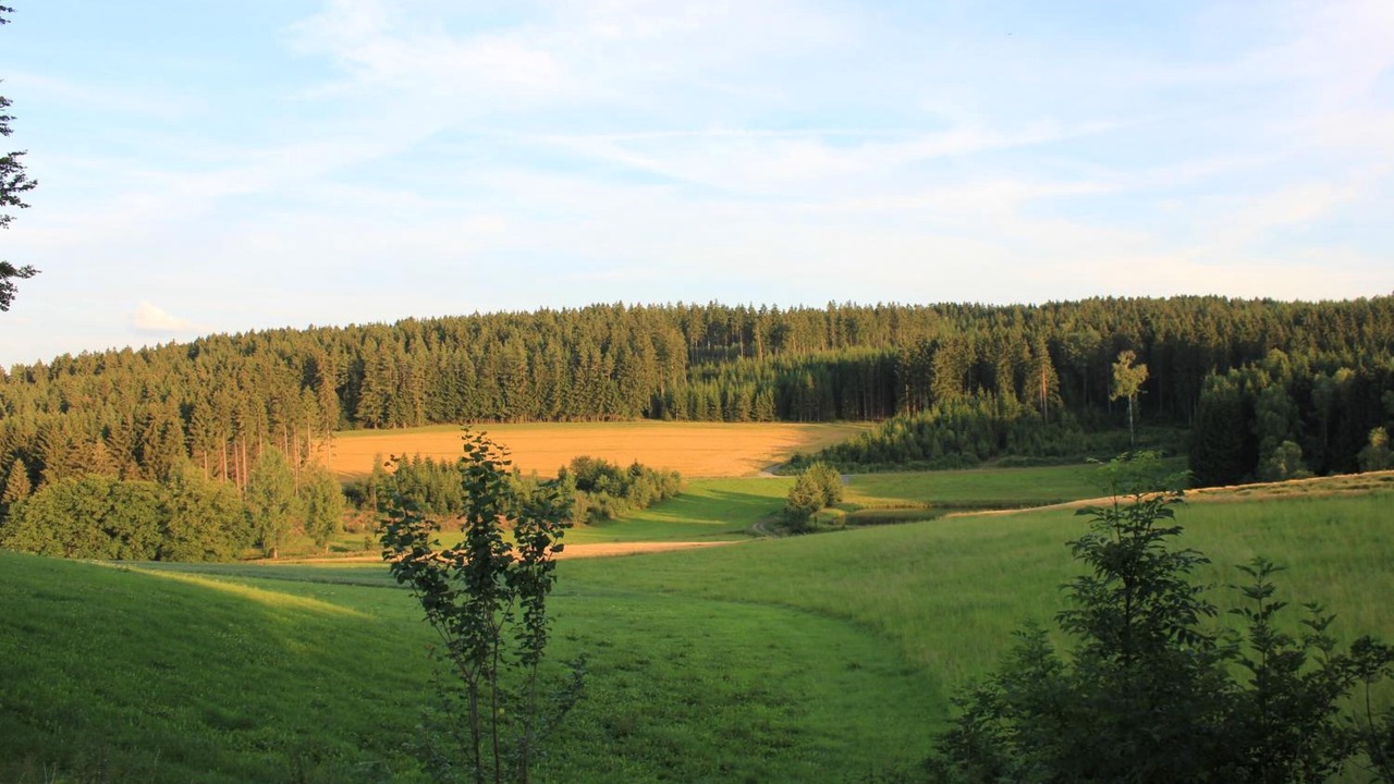 Photo of Outdoor in Marktleugast
