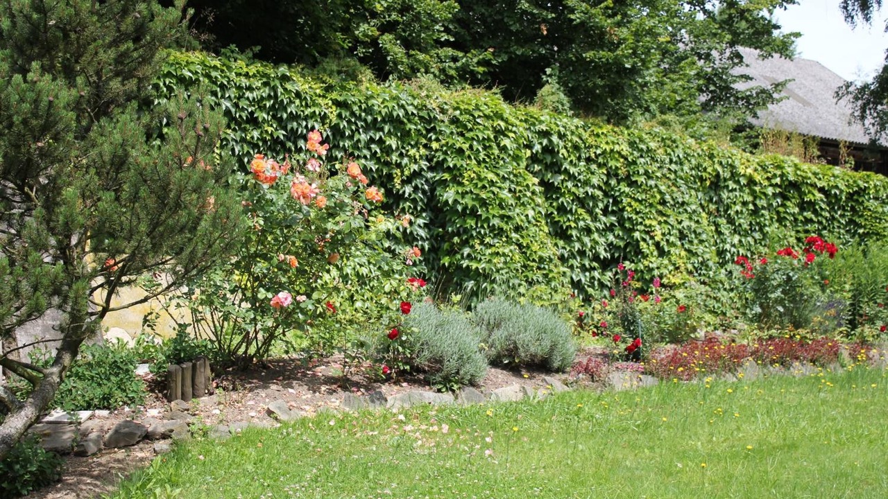 Photo of Outdoor in Marktleugast