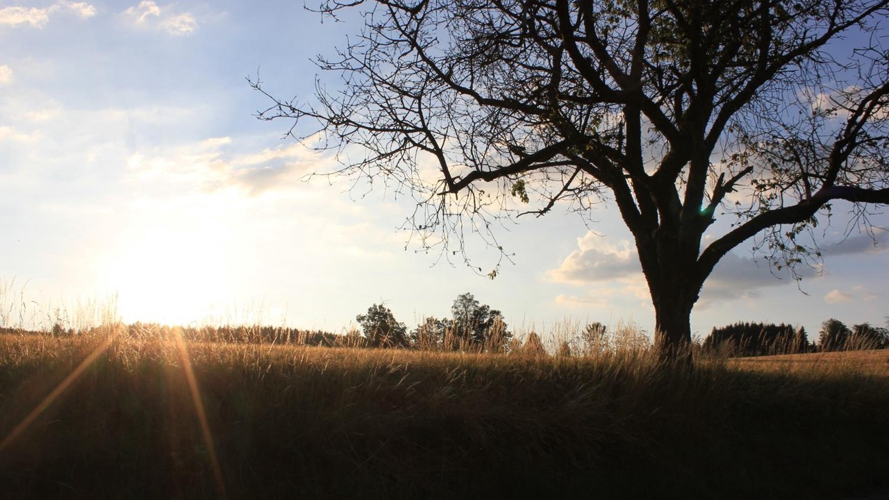 Photo of Outdoor in Marktleugast