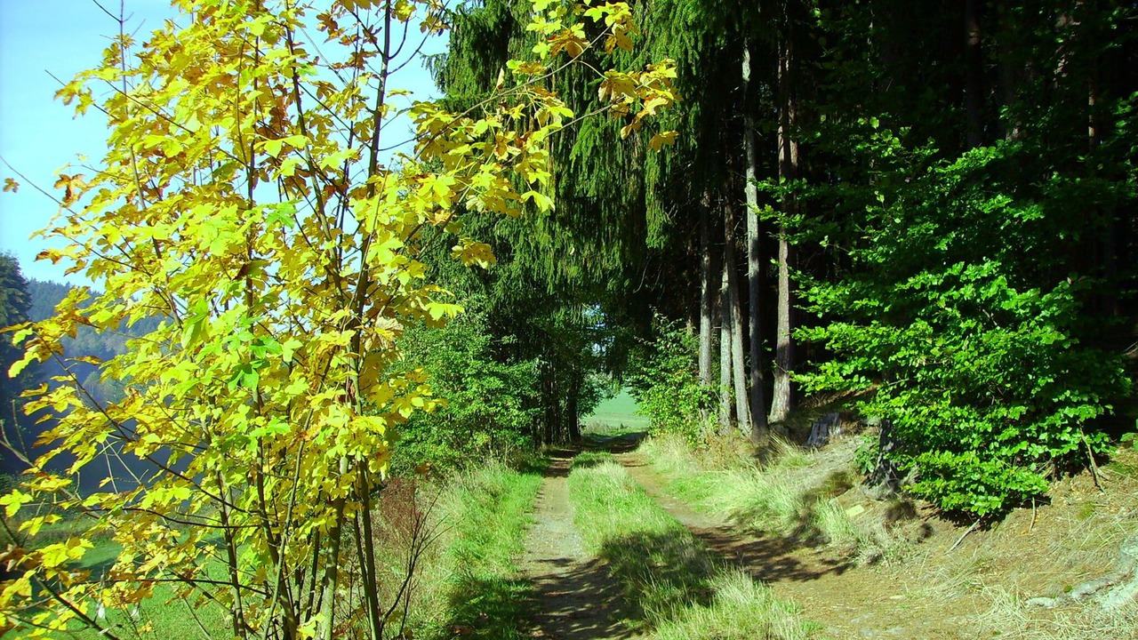 Photo of Outdoor in Marktleugast