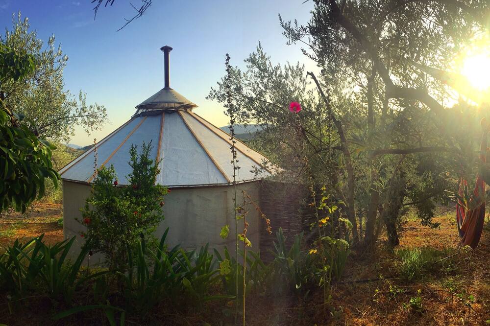 Photo of Others in Lanjaron