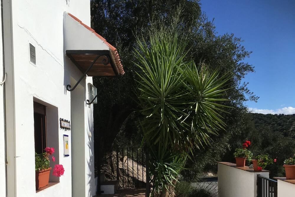 Photo of Patio Balcony in Villanueva de Algaidas