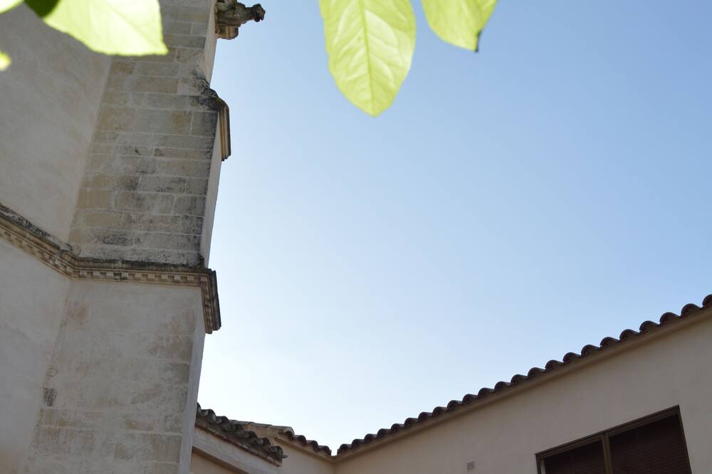 Photo of Outdoor in Montemayor