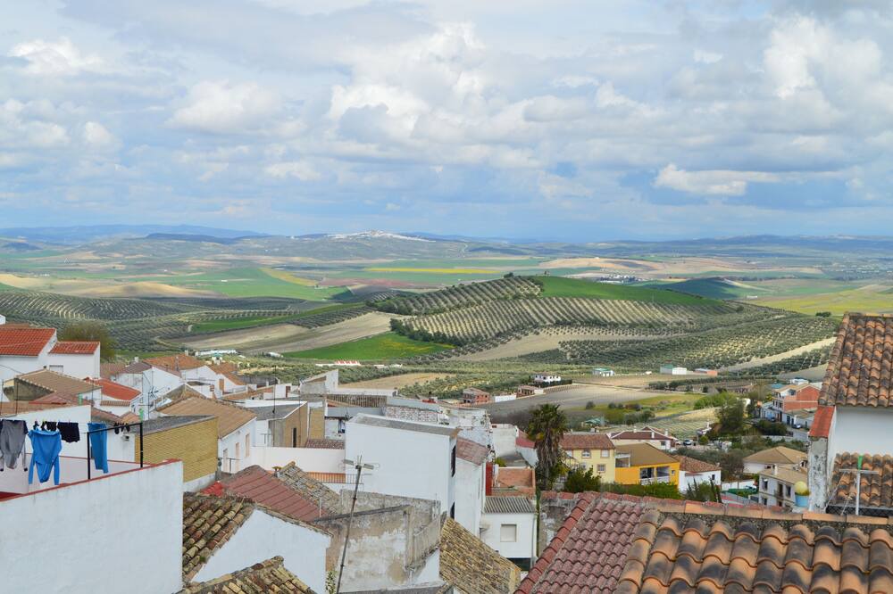 Photo of Others in Montemayor