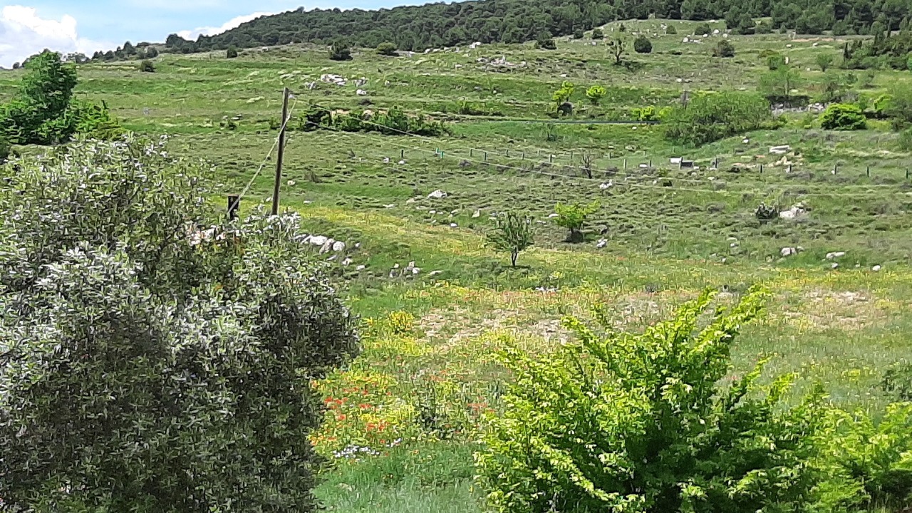 Photo of Outdoor in Borja