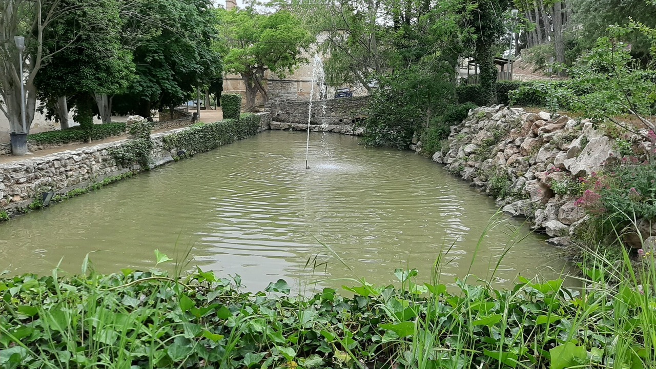 Photo of Outdoor in Borja