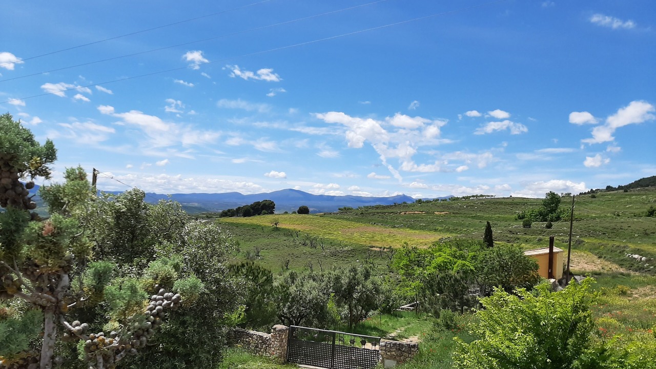 Photo of Outdoor in Borja